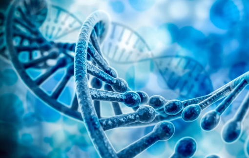 Trẻ song sinh được nuôi dạy ở hai nơi sẽ bị lệch nhau về trí thông minh?