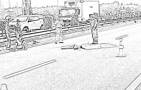 Đi bộ nhặt phế liệu trên cao tốc TPHCM – Trung Lương, người phụ nữ bị xe tông tử vong