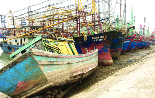 Ngư dân bán tháo tàu vì càng ra khơi, càng lỗ