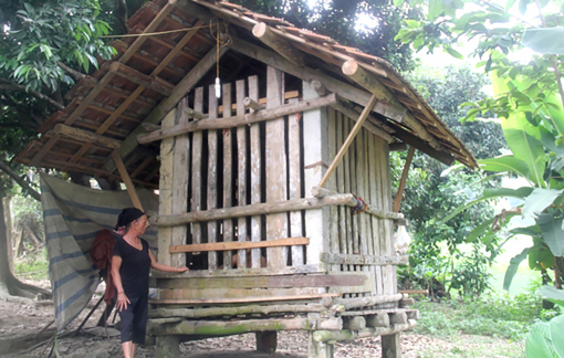 Người tâm thần liên tục gây án, làm sao để chung sống an toàn?