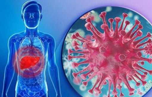 Phó thủ tướng yêu cầu chủ động ứng phó bệnh viêm gan cấp ở trẻ em