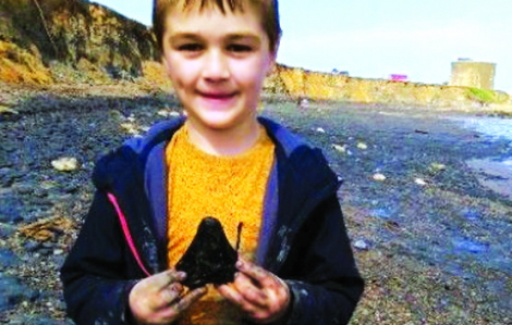 Bé trai sáu tuổi nhặt được răng cá mập cổ đại