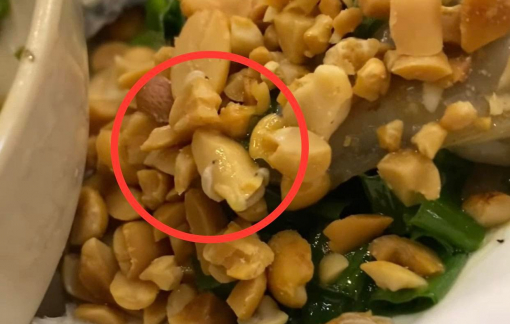 Bình Dương: Kiểm tra đột xuất quán ăn có dòi bò lúc nhúc trong món hàu nướng