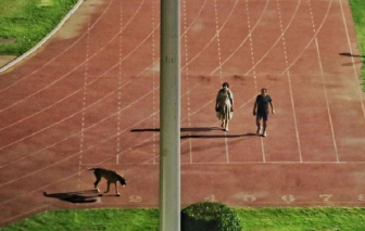 Ấn Độ phạt nặng cặp vợ chồng quan chức đóng sân vận động để dắt chó đi dạo