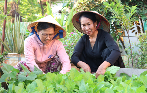 Mô hình biến rác thành phân hữu cơ để trồng rau sạch tại P.An Phú Đông, Q.12