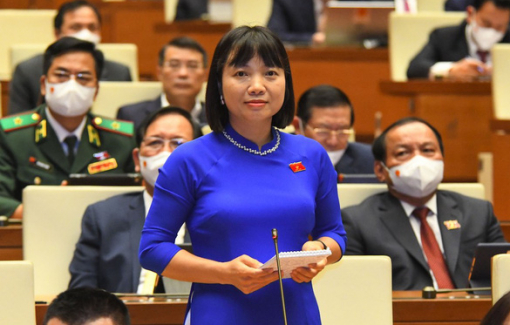 “Dư luận có vẻ sững sờ vì nghĩ rằng, bạo lực học đường không xảy ra ở trường quốc tế”
