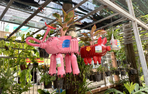 Chung tay hành động thiết thực vì thiên nhiên và trái đất