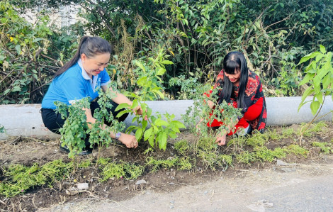 Khai giảng lớp đào tạo nghề, làm đường hoa và tạo vườn thuốc nam