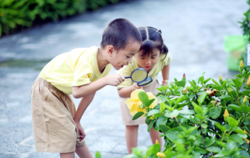 Trải nghiệm mùa hè: Dạy trẻ gắn kết với thiên nhiên