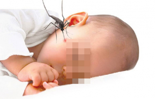 Đi phòng mạch tư chích thuốc, bé gái bị sốc sốt xuất huyết