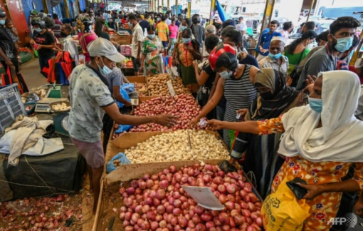 Sri Lanka: Nhiều thai phụ "bóp bụng" vì giá thực phẩm quá cao