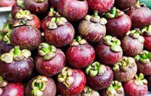 Giá măng cụt, vải thiều, chôm chôm giảm mạnh