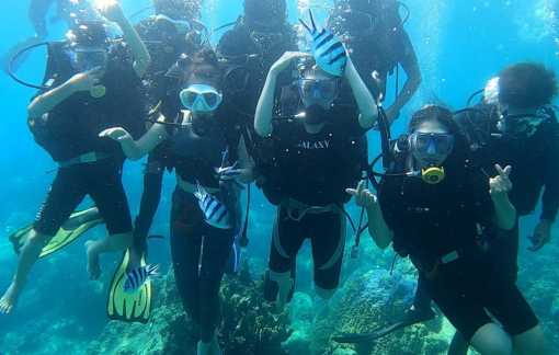 Từ ngày 27/6, tạm ngừng hoạt động bơi, lặn biển tại khu vực Hòn Mun