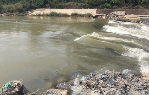 Đắp đập tạm sông Quảng Huế giải mặn cho Đà Nẵng, người dân Quảng Nam bức xúc