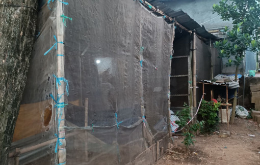 Nghi vợ không chung thủy, chồng ra tay sát hại