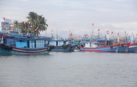 Quảng Nam báo cáo Bộ Ngoại giao vụ 42 ngư dân bị Malaysia bắt giữ