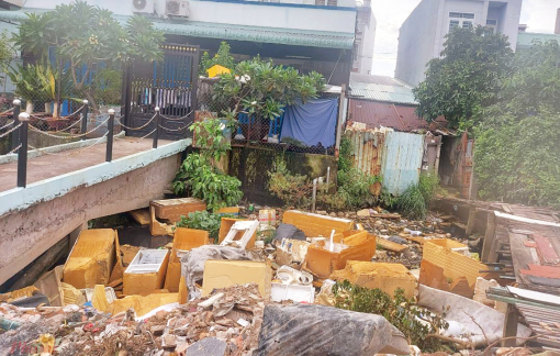 Ngừa sốt xuất huyết bằng những hành động nhỏ