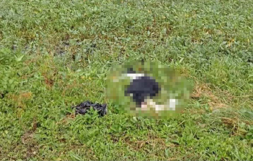 Đã tìm ra người gây tai nạn khiến nam công nhân tử vong ở Cà Mau