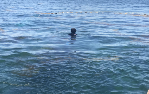 Quảng Ngãi: Nhóm 5 người tắm biển, 2 người mất tích