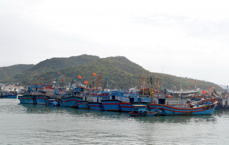 19 tàu cá ở Khánh Hòa mất tích