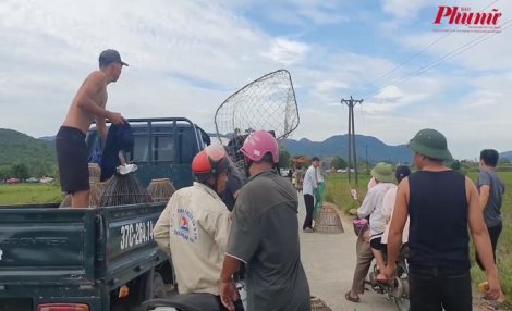 Làng quê huyên náo bởi hàng ngàn người “hú nhau” đi nơm cá cầu may