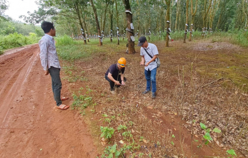 Thông tin mới nhất vụ bé trai 8 tuổi bị đốt bỏng chân