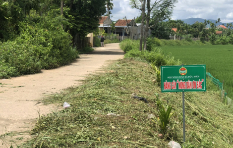 Quảng Ngãi: Kiểm tra dấu hiệu vi phạm nhiều lãnh đạo xã, 1 người có dấu hiệu tội phạm