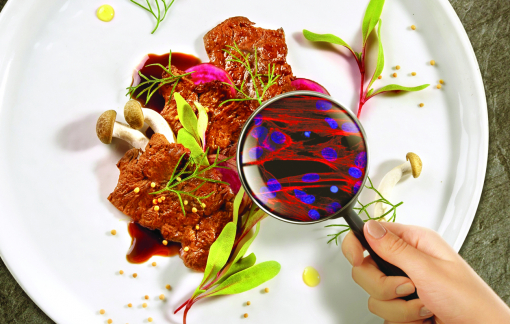 Thịt nuôi cấy và hành trình đến bàn ăn
