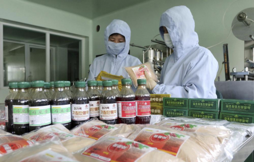 Triều Tiên tăng cường chống dịch COVID-19 bằng y học cổ truyền