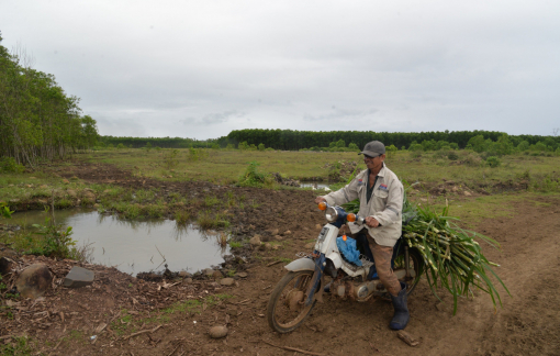 Sở Xây dựng Quảng Ngãi không có hồ sơ của các dự án FLC trên địa bàn tỉnh
