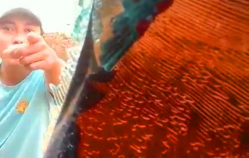 Quảng Trị: 2 đối tượng vác mã tấu chém vỡ kính xe tải, tài xế bị thương nặng