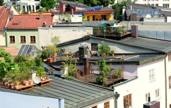 Không có sân thượng vẫn có thể làm vườn trên nóc nhà