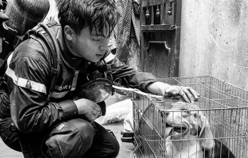 Chúng ta làm được gì cho những người đã hy sinh?