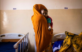 Hạn hán buộc 1 triệu người Somalia phải di tản