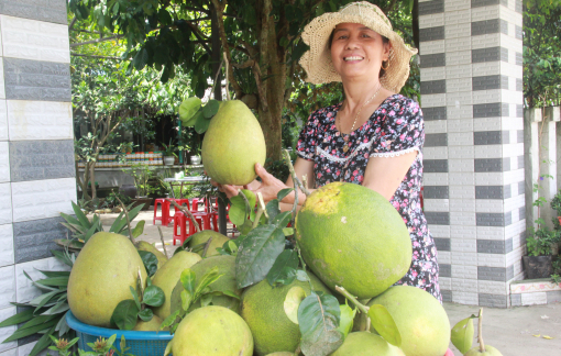"Làng Nam Bộ" của Quảng Nam vào hội trái cây