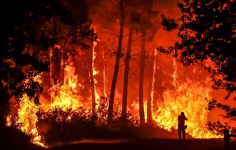 Pháp chìm trong khủng hoảng với hàng loạt vụ cháy rừng