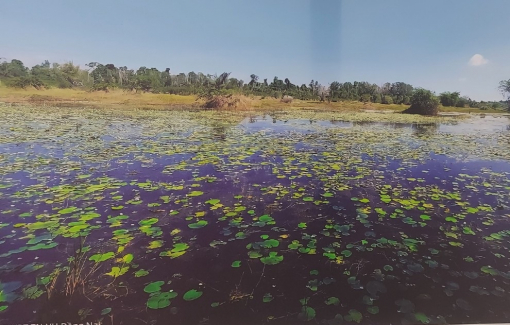 Bảo tồn 3 tỷ lít nước/năm cho TPHCM và nhiều tỉnh thành