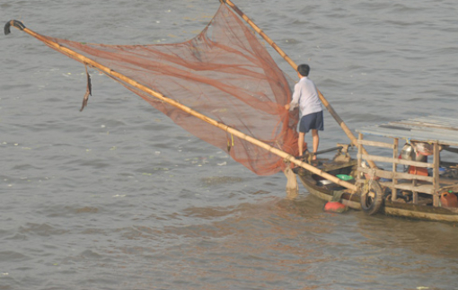 Đánh bắt cá tôm kiểu tận diệt thì có còn cá đồng để ăn không?