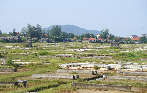 Giá muối “lập đỉnh”, diêm dân vẫn bỏ ruộng hoang