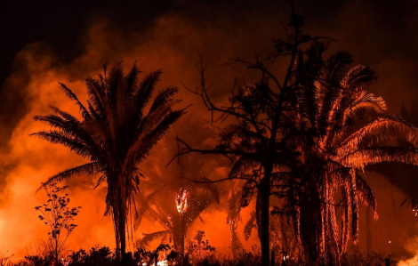 Brazil khốn đốn với hàng loạt vụ cháy rừng
