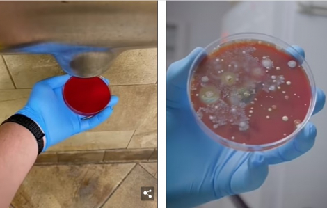 Vi khuẩn nguy hiểm ẩn náu trong máy sấy tay ở nhà vệ sinh công cộng
