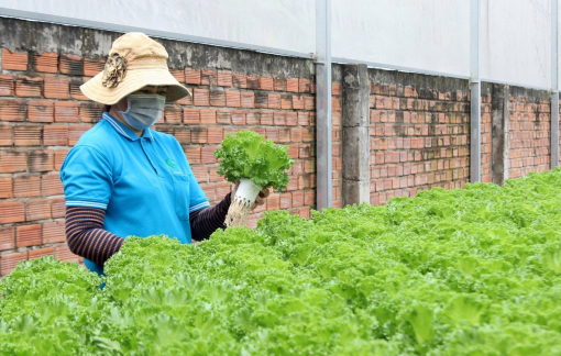 Cơ hội làm việc tại HTX Tuấn Ngọc