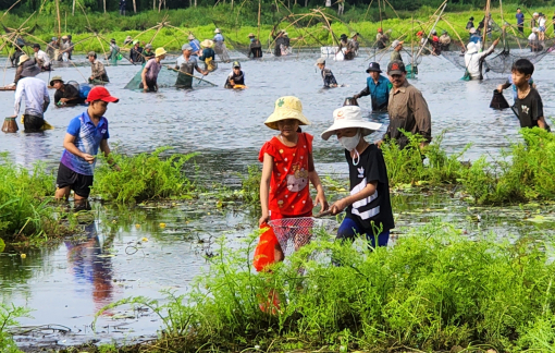 Hàng trăm người cùng nhào xuống đầm tranh nhau bắt cá