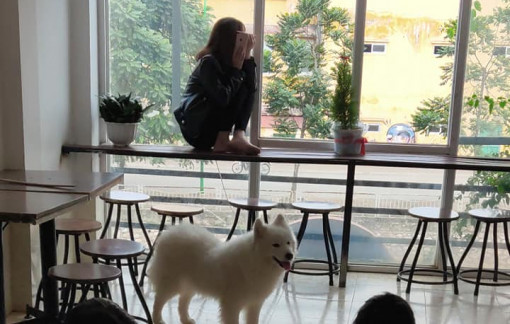 Hai chuyện “chướng tai gai mắt” trong một buổi cà phê