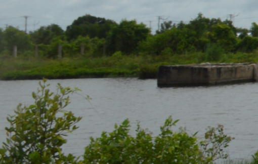 Bạc Liêu: Tắm ở ao tôm, hai mẹ con đuối nước thương tâm