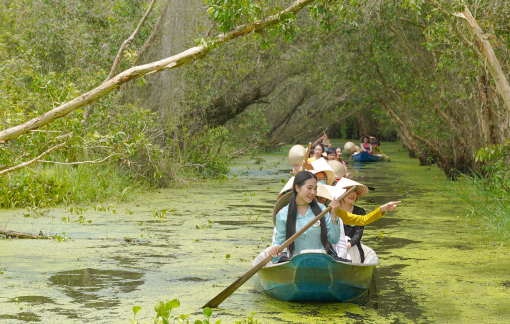 Đồng Tháp Mười, sông Vàm Cỏ... sẽ thành sản phẩm du lịch đặc thù