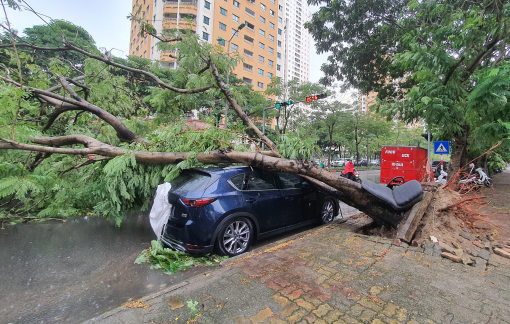Hà Nội mưa lớn, cây bật gốc đè bẹp xế hộp