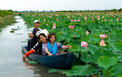 Du lịch Đồng bằng sông Cửu Long phục hồi mạnh mẽ