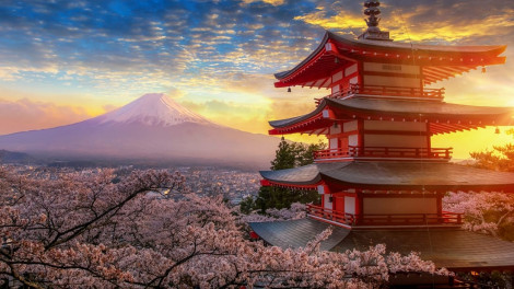 Nhật Bản sẽ mở cửa đón du khách quốc tế vào ngày 11/10