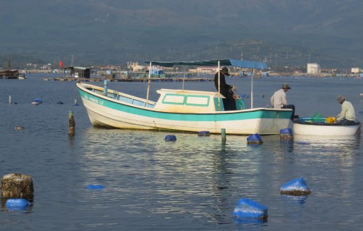 Phòng tránh bão, Phú Yên cấm biển từ chiều 26/9